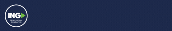 Banner: Ing Professional Consulting SAS