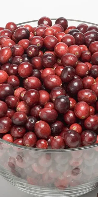 Presentaciones de Cranberry U.S. Cranberries Colombia