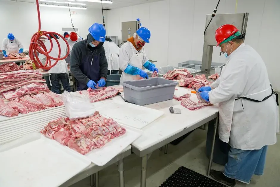 Cargill potencia visión artificial para frigoríficos de Latinoamérica