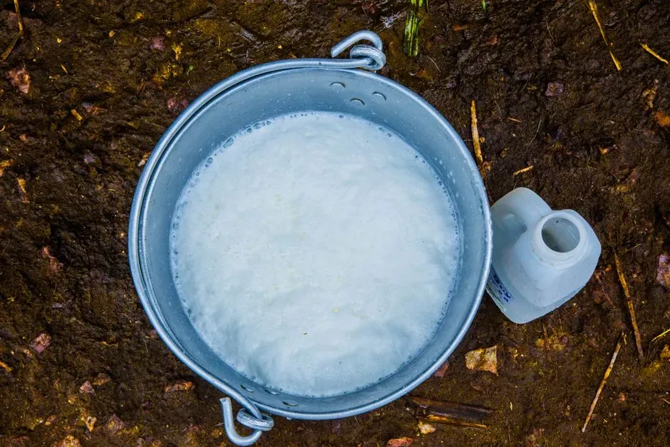 Oferta mundial de leche en 2026: lo que revela el reporte de Ornua